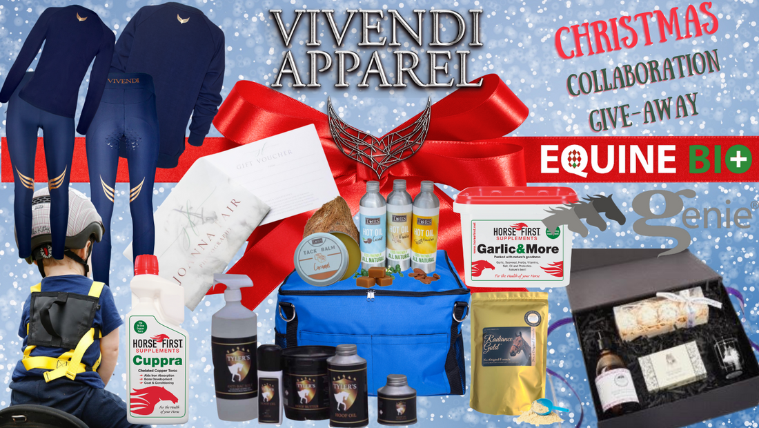 The Vivendi Apparel Christmas Gift Guide…